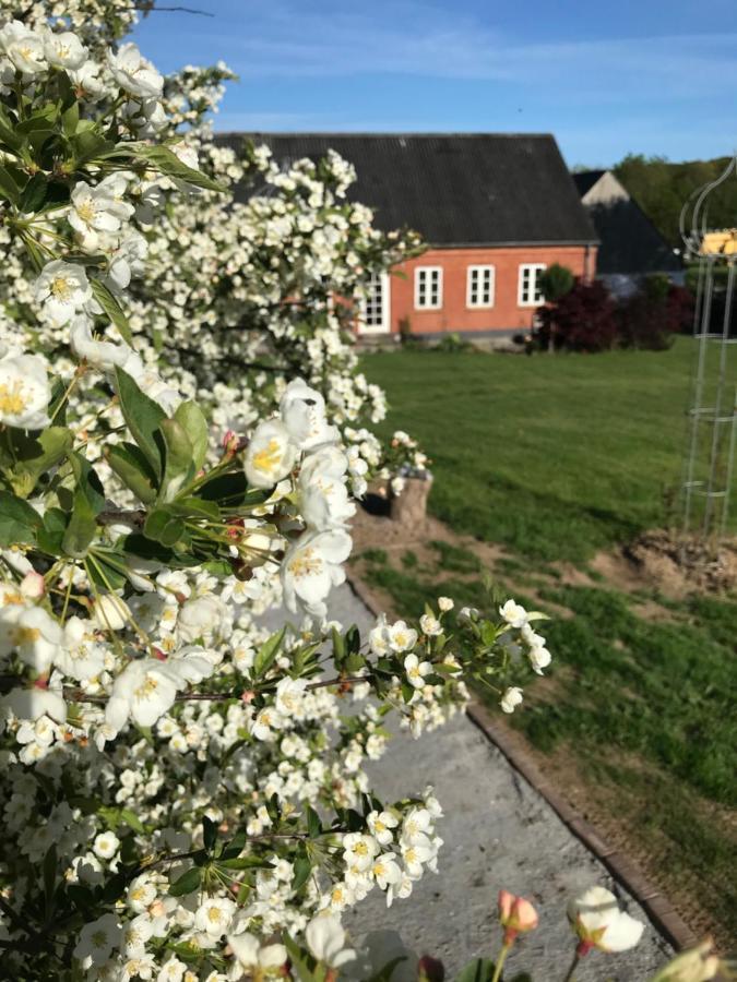 Brorup Kjaersgaard, Hygge, Ro, Natur Og Landliv สแกนเดอร์บอร์ก ภายนอก รูปภาพ