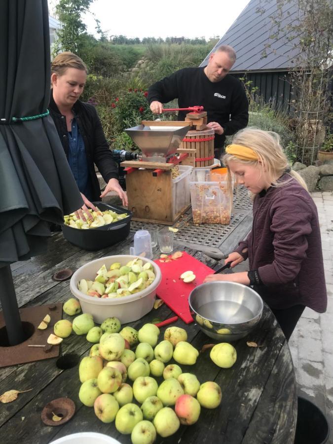 Brorup Kjaersgaard, Hygge, Ro, Natur Og Landliv สแกนเดอร์บอร์ก ภายนอก รูปภาพ